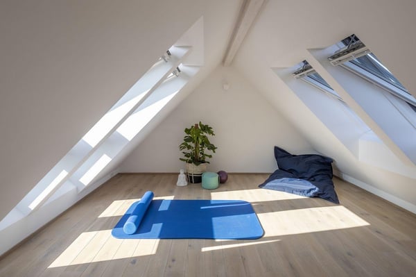 Attic home gym