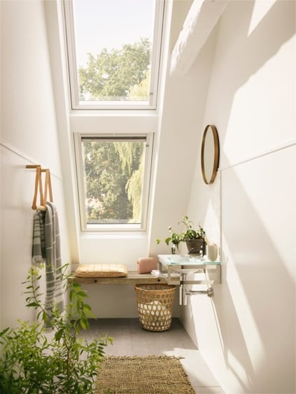 Plants in the bathroom